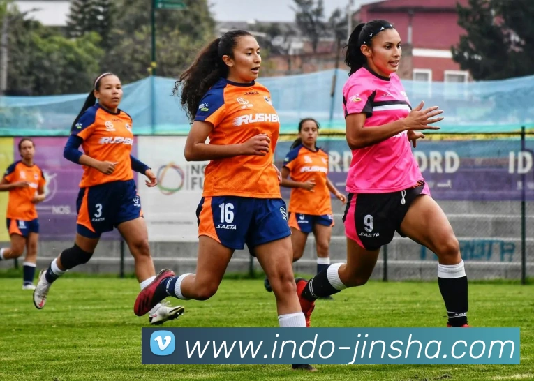 金沙娱乐城发展历程